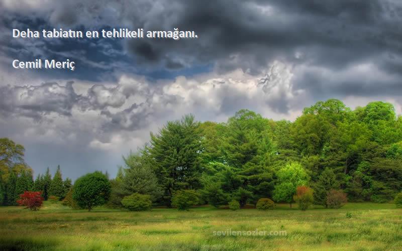 Cemil Meriç Sözleri 
Deha tabiatın en tehlikeli armağanı.