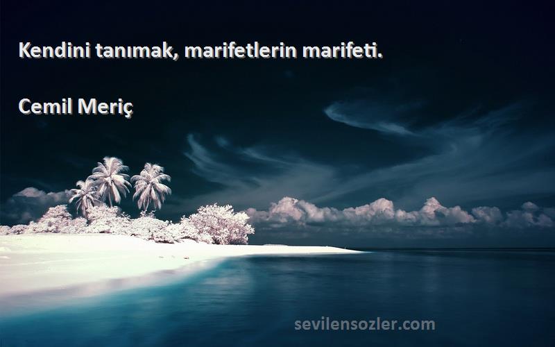 Cemil Meriç - Kendini tanımak, marifetlerin marifeti.