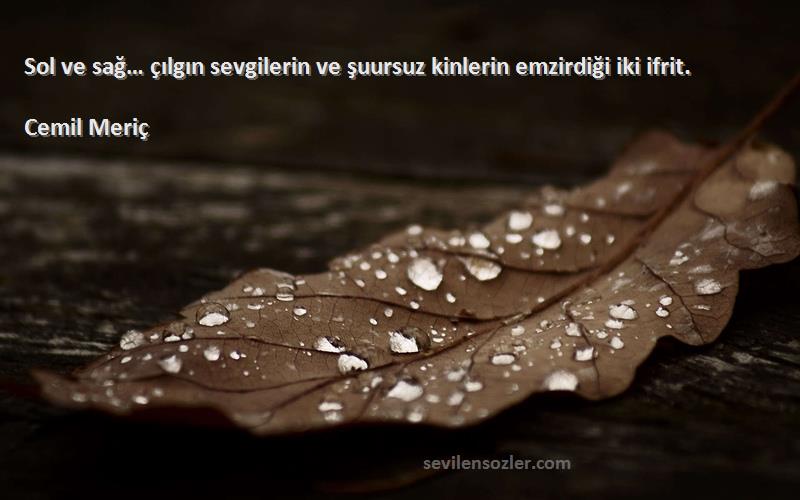 Cemil Meriç - Sol ve sağ… çılgın sevgilerin ve şuursuz kinlerin emzirdiği iki ifrit.