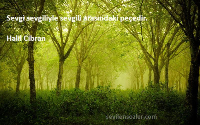 Halil Cibran - Sevgi sevgiliyle sevgili arasındaki peçedir.