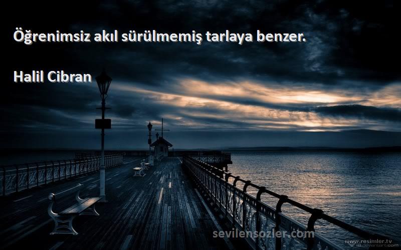 Halil Cibran - Öğrenimsiz akıl sürülmemiş tarlaya benzer.