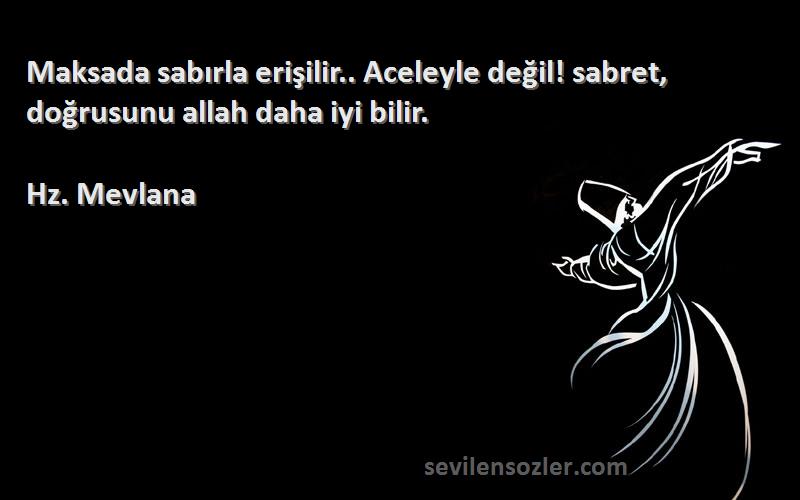 Hz. Mevlana - Maksada sabırla erişilir.. Aceleyle değil! sabret, doğrusunu allah daha iyi bilir.
