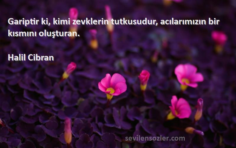 Halil Cibran - Gariptir ki, kimi zevklerin tutkusudur, acılarımızın bir kısmını oluşturan.