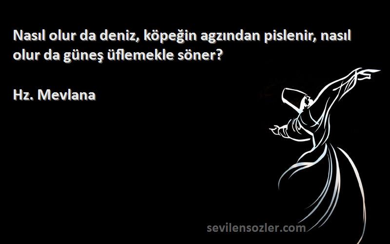 Hz. Mevlana - Nasıl olur da deniz, köpeğin agzından pislenir, nasıl olur da güneş üflemekle söner?