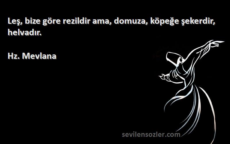 Hz. Mevlana - Leş, bize göre rezildir ama, domuza, köpeğe şekerdir, helvadır.