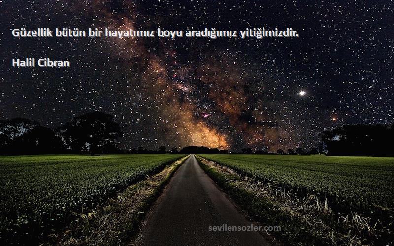 Halil Cibran - Güzellik bütün bir hayatımız boyu aradığımız yitiğimizdir.