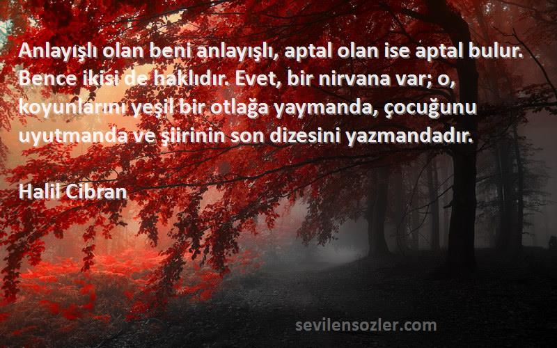 Halil Cibran Sözleri 
Anlayışlı olan beni anlayışlı, aptal olan ise aptal bulur. Bence ikisi de haklıdır. Evet, bir nirvana var; o, koyunlarını yeşil bir otlağa yaymanda, çocuğunu uyutmanda ve şiirinin son dizesini yazmandadır.