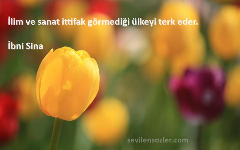 İbni Sina Sözleri 
İlim ve sanat ittifak görmediği ülkeyi terk eder.