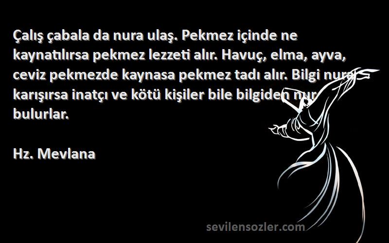 Hz. Mevlana Sözleri 
Çalış çabala da nura ulaş. Pekmez içinde ne kaynatılırsa pekmez lezzeti alır. Havuç, elma, ayva, ceviz pekmezde kaynasa pekmez tadı alır. Bilgi nura karışırsa inatçı ve kötü kişiler bile bilgiden nur bulurlar.