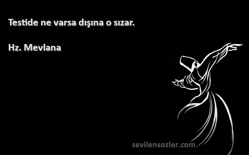 Hz. Mevlana - Testide ne varsa dışına o sızar.