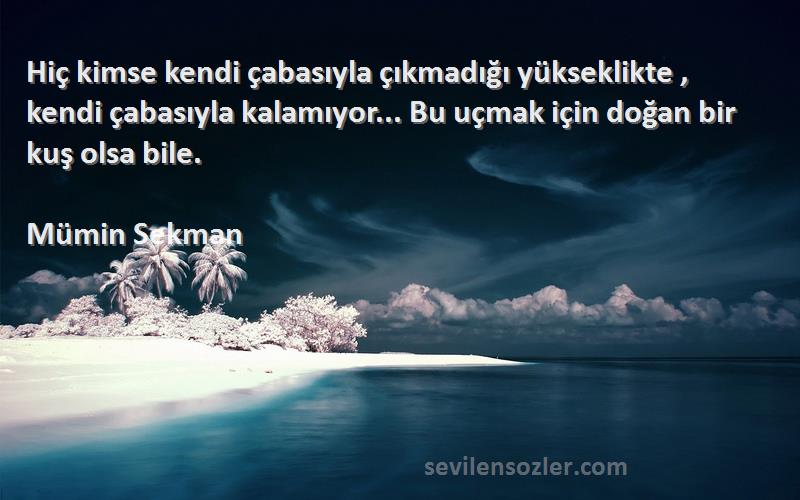 Mümin Sekman Sözleri 
Hiç kimse kendi çabasıyla çıkmadığı yükseklikte , kendi çabasıyla kalamıyor... Bu uçmak için doğan bir kuş olsa bile.