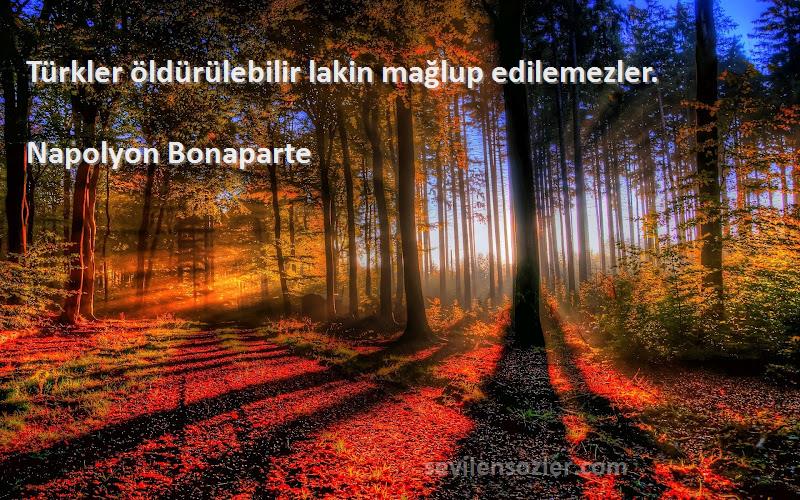 Napolyon Bonaparte - Türkler öldürülebilir lakin mağlup edilemezler.