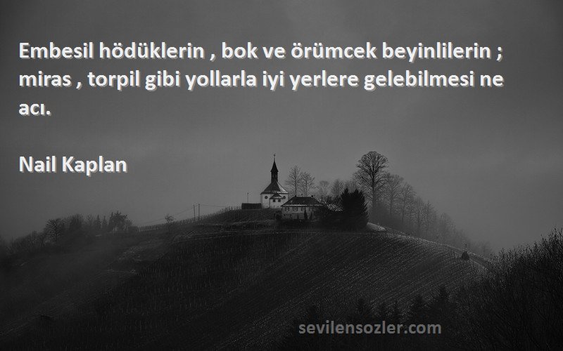 Nail Kaplan Sözleri 
Embesil hödüklerin , bok ve örümcek beyinlilerin ; miras , torpil gibi yollarla iyi yerlere gelebilmesi ne acı.