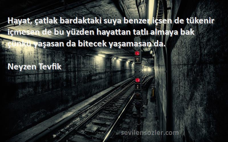 Neyzen Tevfik Sözleri 
Hayat, çatlak bardaktaki suya benzer içsen de tükenir içmesen de bu yüzden hayattan tatlı almaya bak çünkü yaşasan da bitecek yaşamasan da.