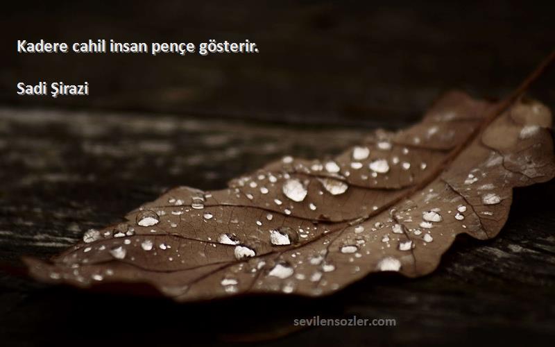 Sadi Şirazi Sözleri 
Kadere cahil insan pençe gösterir.