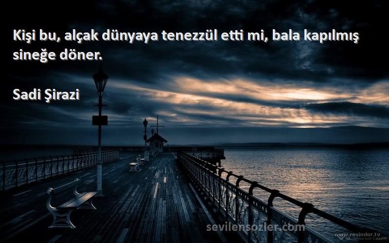 Sadi Şirazi - Kişi bu, alçak dünyaya tenezzül etti mi, bala kapılmış sineğe döner.