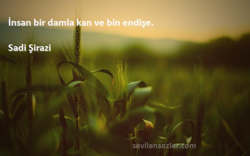 Sadi Şirazi - İnsan bir damla kan ve bin endişe.