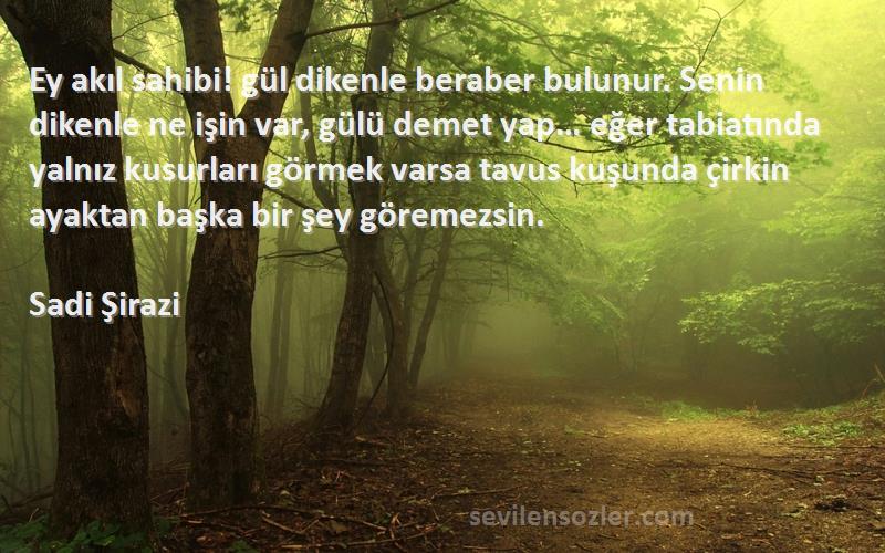 Sadi Şirazi Sözleri 
Ey akıl sahibi! gül dikenle beraber bulunur. Senin dikenle ne işin var, gülü demet yap… eğer tabiatında yalnız kusurları görmek varsa tavus kuşunda çirkin ayaktan başka bir şey göremezsin.