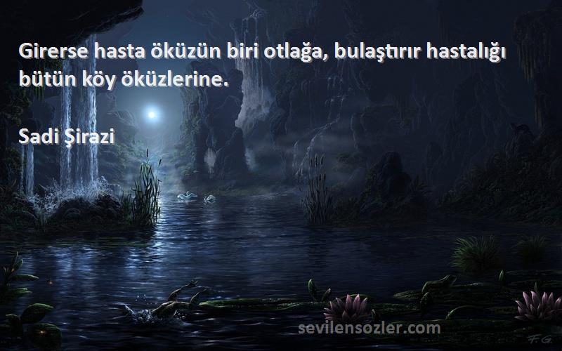 Sadi Şirazi - Girerse hasta öküzün biri otlağa, bulaştırır hastalığı bütün köy öküzlerine.
