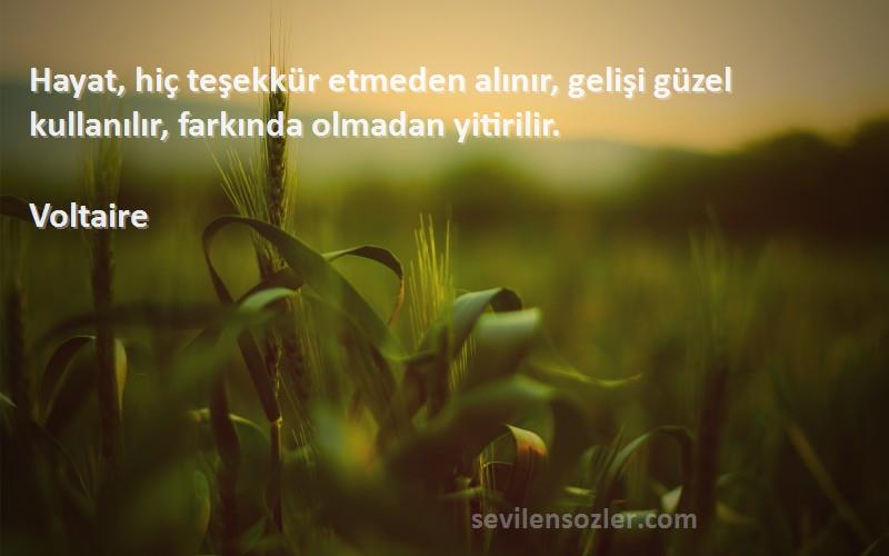 Voltaire - Hayat, hiç teşekkür etmeden alınır, gelişi güzel kullanılır, farkında olmadan yitirilir.