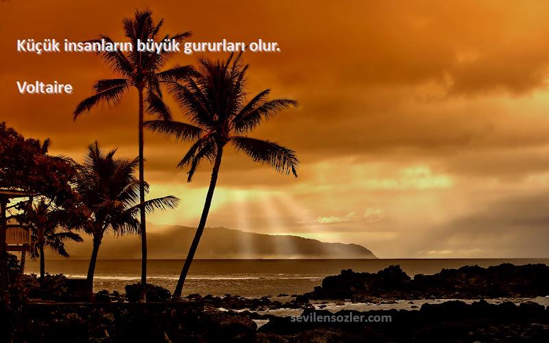 Voltaire - Küçük insanların büyük gururları olur.