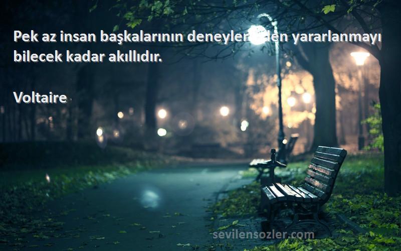 Voltaire - Pek az insan başkalarının deneylerinden yararlanmayı bilecek kadar akıllıdır.