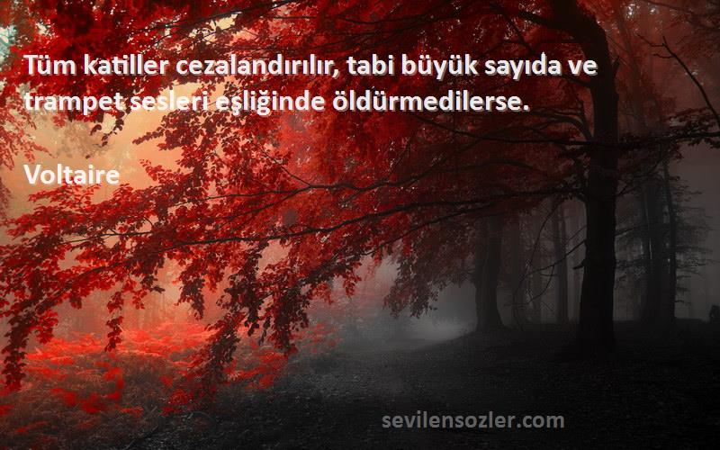 Voltaire - Tüm katiller cezalandırılır, tabi büyük sayıda ve trampet sesleri eşliğinde öldürmedilerse.