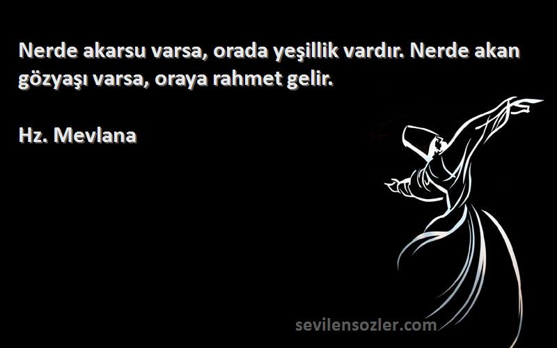 Hz. Mevlana - Nerde akarsu varsa, orada yeşillik vardır. Nerde akan gözyaşı varsa, oraya rahmet gelir.