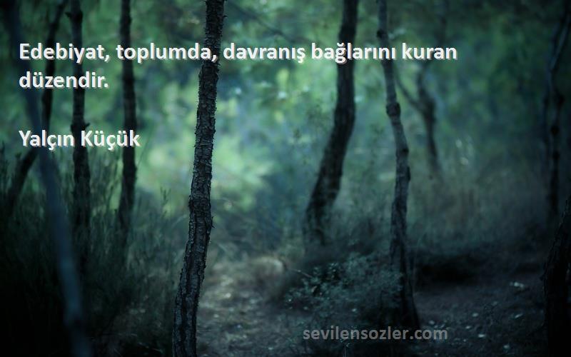 Yalçın Küçük - Edebiyat, toplumda, davranış bağlarını kuran düzendir.