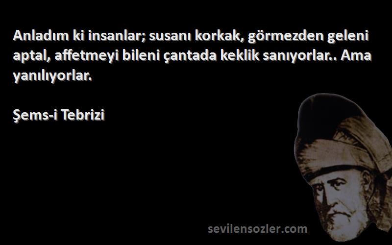 Şems-i Tebrizi Sözleri 
Anladım ki insanlar; susanı korkak, görmezden geleni aptal, affetmeyi bileni çantada keklik sanıyorlar.. Ama yanılıyorlar.