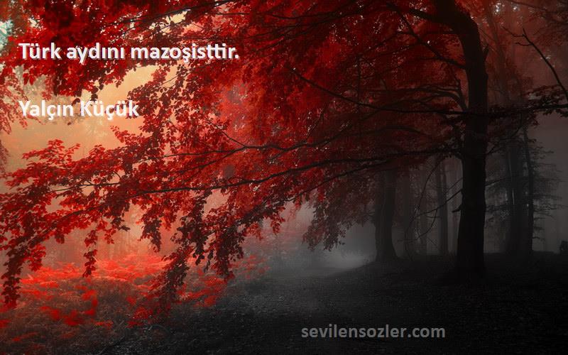 Yalçın Küçük - Türk aydını mazoşisttir.