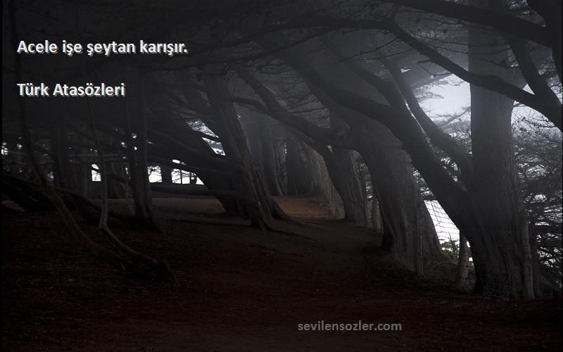 Türk Atasözleri - Acele işe şeytan karışır.