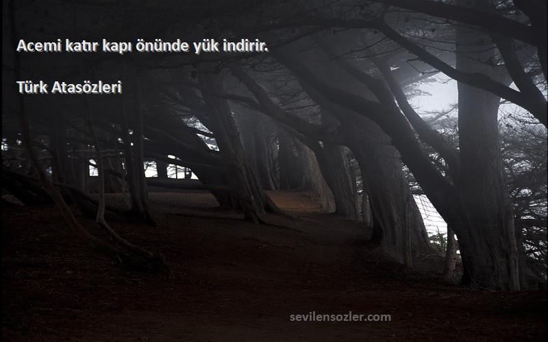 Türk Atasözleri - Acemi katır kapı önünde yük indirir.