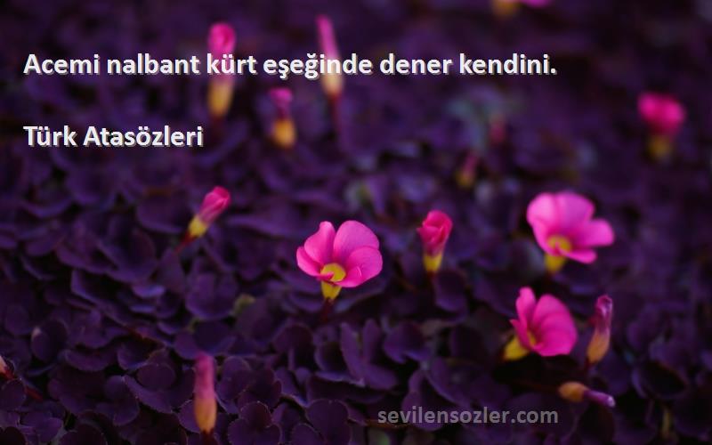 Türk Atasözleri - Acemi nalbant kürt eşeğinde dener kendini.