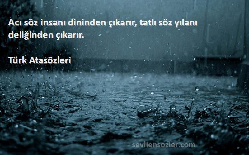 Türk Atasözleri Sözleri 
Acı söz insanı dininden çıkarır, tatlı söz yılanı deliğinden çıkarır.