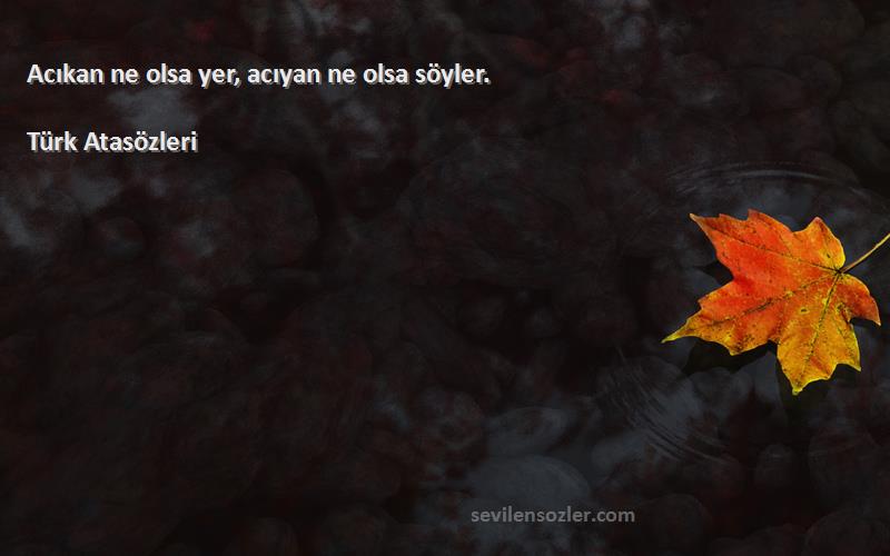 Türk Atasözleri - Acıkan ne olsa yer, acıyan ne olsa söyler.