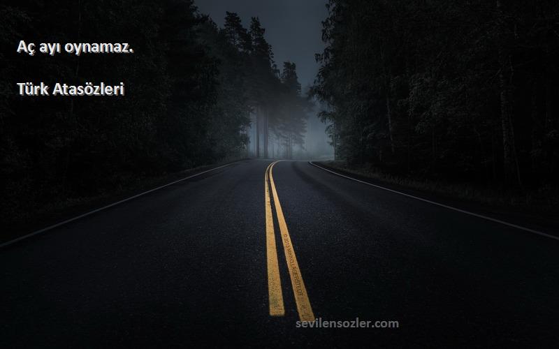 Türk Atasözleri - Aç ayı oynamaz.