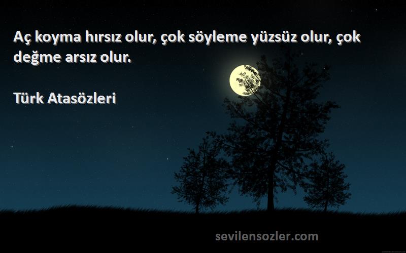 Türk Atasözleri - Aç koyma hırsız olur, çok söyleme yüzsüz olur, çok değme arsız olur.