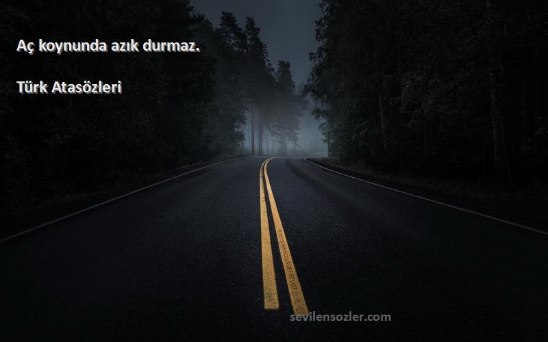 Türk Atasözleri - Aç koynunda azık durmaz.