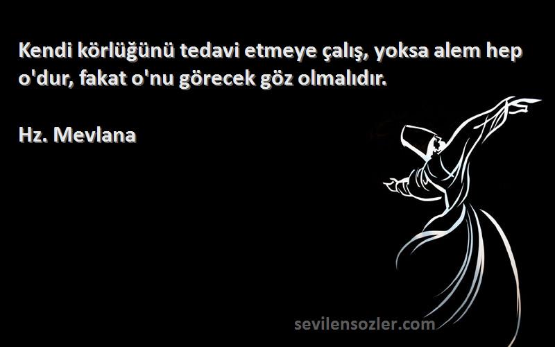 Hz. Mevlana - Kendi körlüğünü tedavi etmeye çalış, yoksa alem hep o'dur, fakat o'nu görecek göz olmalıdır.