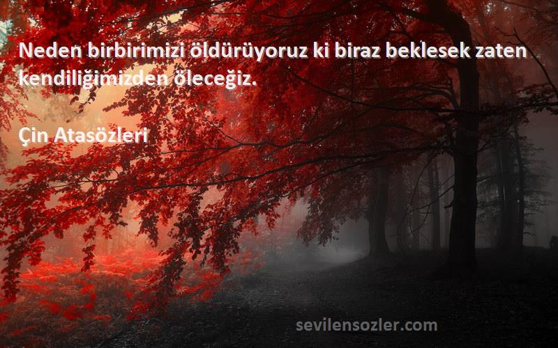 Çin Atasözleri - Neden birbirimizi öldürüyoruz ki biraz beklesek zaten kendiliğimizden öleceğiz.