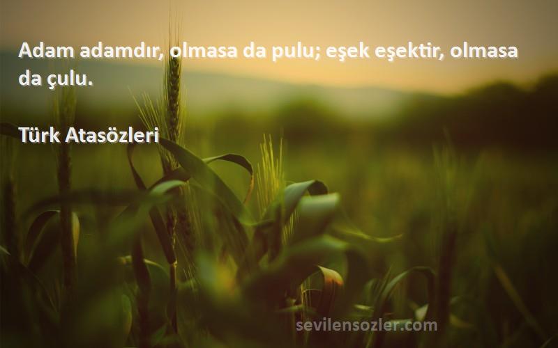 Türk Atasözleri - Adam adamdır, olmasa da pulu; eşek eşektir, olmasa da çulu.