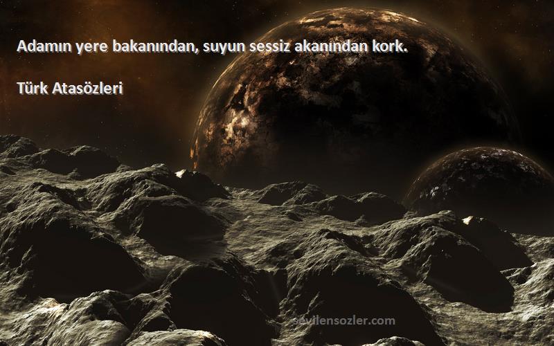 Türk Atasözleri - Adamın yere bakanından, suyun sessiz akanından kork.