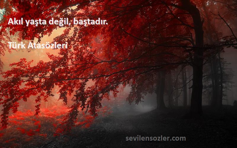 Türk Atasözleri - Akıl yaşta değil, baştadır.