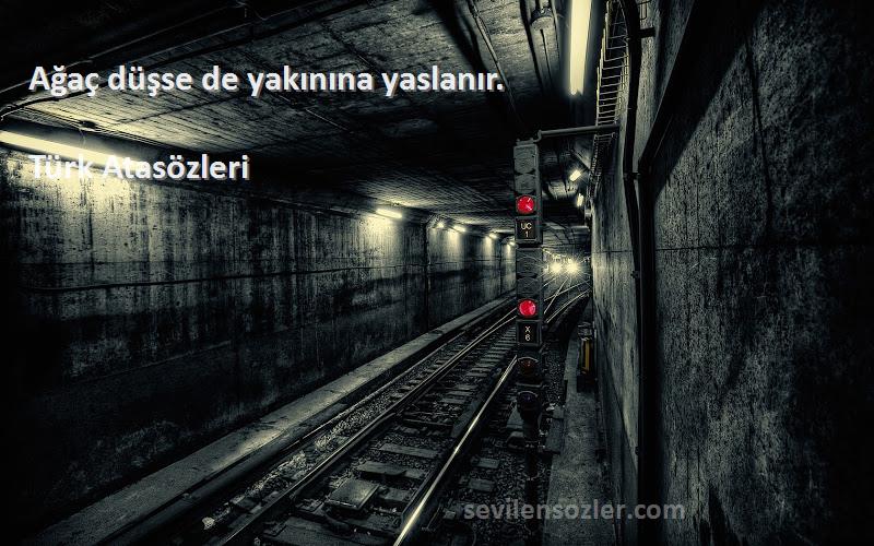 Türk Atasözleri - Ağaç düşse de yakınına yaslanır.