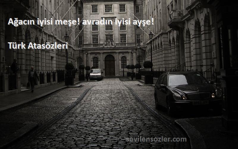 Türk Atasözleri - Ağacın iyisi meşe! avradın iyisi ayşe!