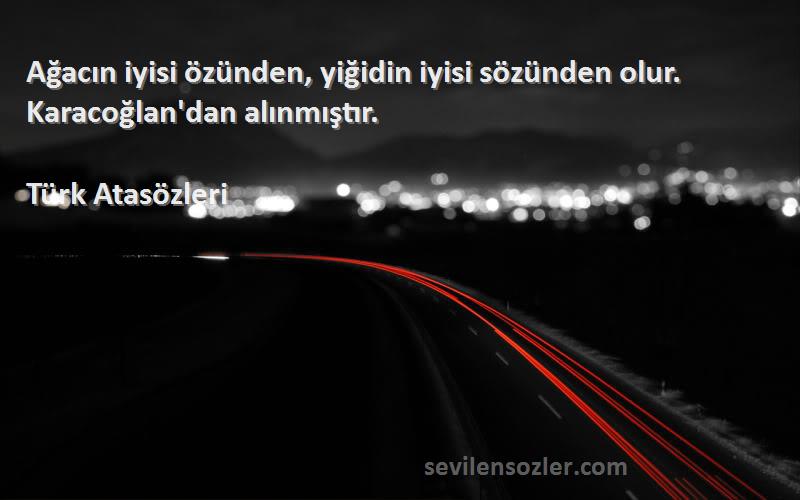 Türk Atasözleri - Ağacın iyisi özünden, yiğidin iyisi sözünden olur. Karacoğlan'dan alınmıştır.