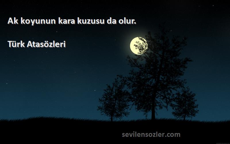 Türk Atasözleri - Ak koyunun kara kuzusu da olur.