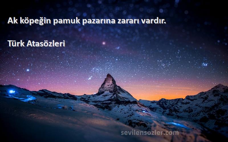 Türk Atasözleri - Ak köpeğin pamuk pazarına zararı vardır.