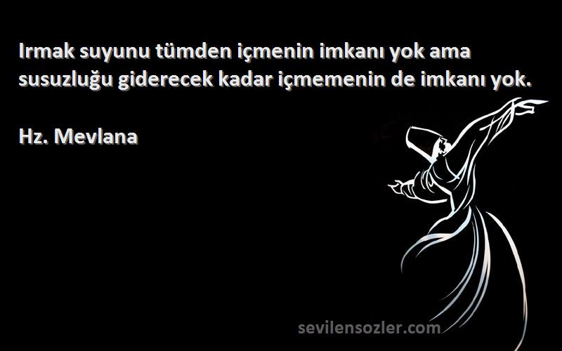 Hz. Mevlana - Irmak suyunu tümden içmenin imkanı yok ama susuzluğu giderecek kadar içmemenin de imkanı yok.